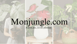 Carte Cadeau Monjungle