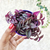 Tradescantia Purple Joy - monjungle