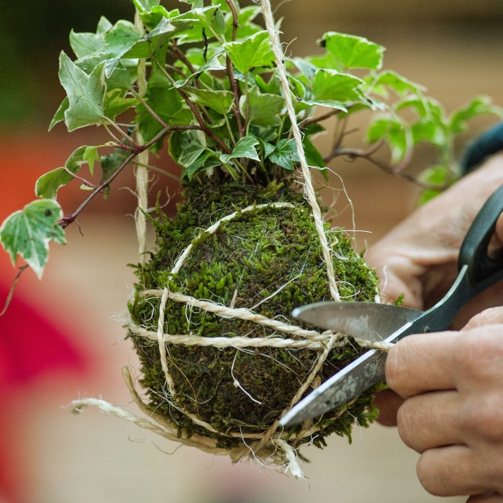Atelier DIY - monjungle