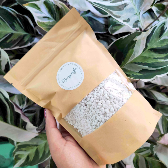 Sachet de Perlite- support de culture plantes monjungle
