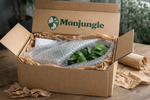Protection Premium 🌿 - monjungle