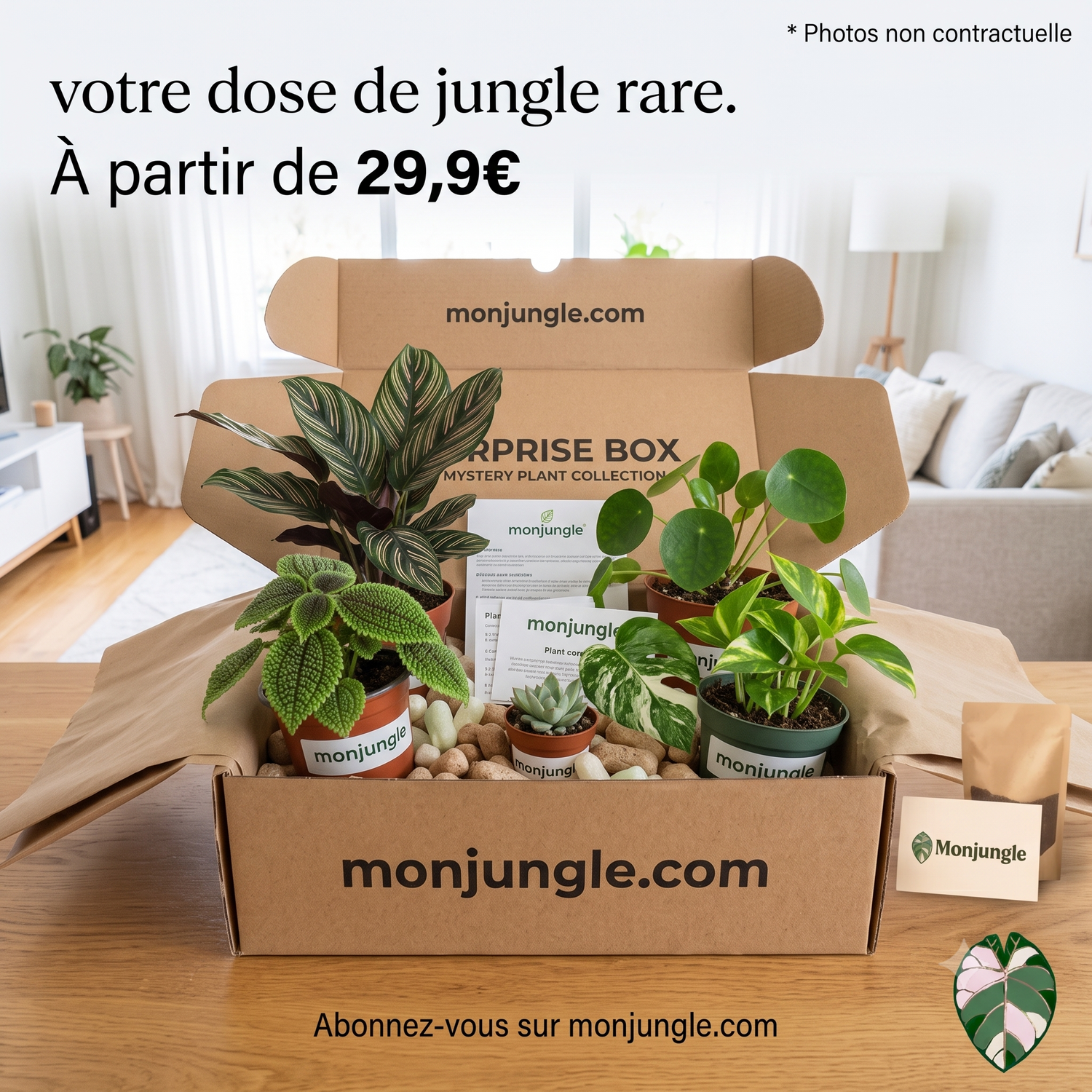 BOX Jungle du Mois