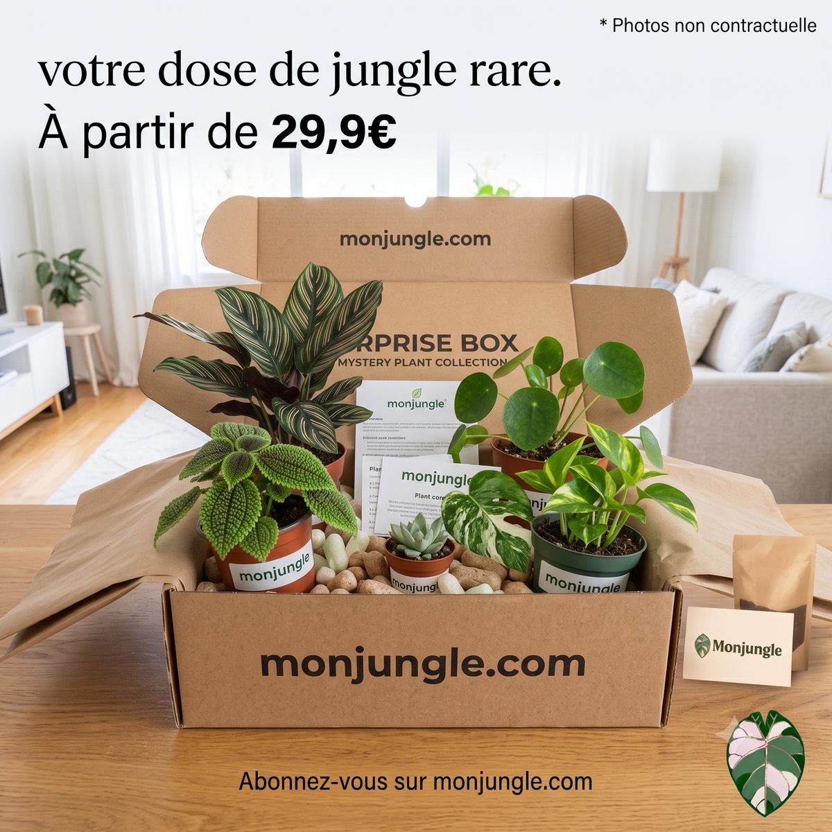 BOX Jungle du Mois - monjungle
