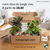 BOX Jungle du Mois