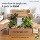BOX Jungle du Mois