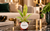 Philodendron Ring of Fire dans un appartement luxueux, table en marbre – visuel d’ambiance illustratif