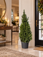 Picea glauca Conica 110 cm dans une entrée élégante – visuel d’ambiance illustratif