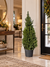 Picea glauca Conica 110 cm dans une entrée élégante – visuel d’ambiance illustratif