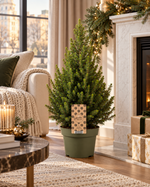 Picea glauca Conica dans un salon de Noël luxueux près d’une cheminée – mise en scène illustrative