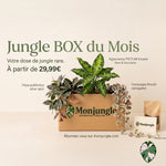BOX Jungle du Mois - monjungle