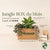 BOX Jungle du Mois