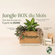 BOX Jungle du Mois