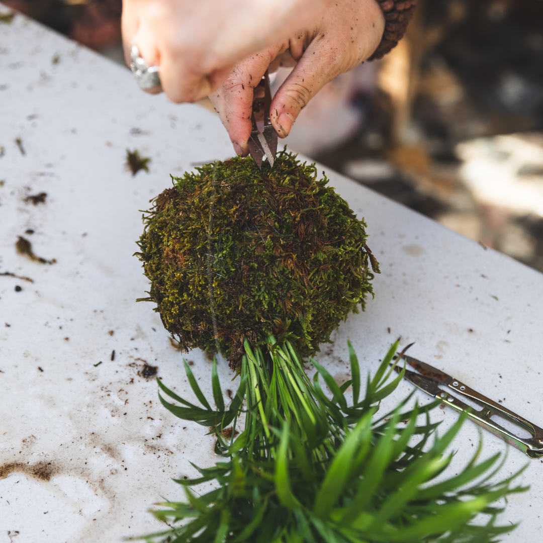 KOKEDAMA Fait à la main, élégance végétale japonais en suspension, composez votre kokedama en ligne monjungle