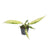 Philodendron Florida Beauty x Tortum Variegata | Pot 6 cm