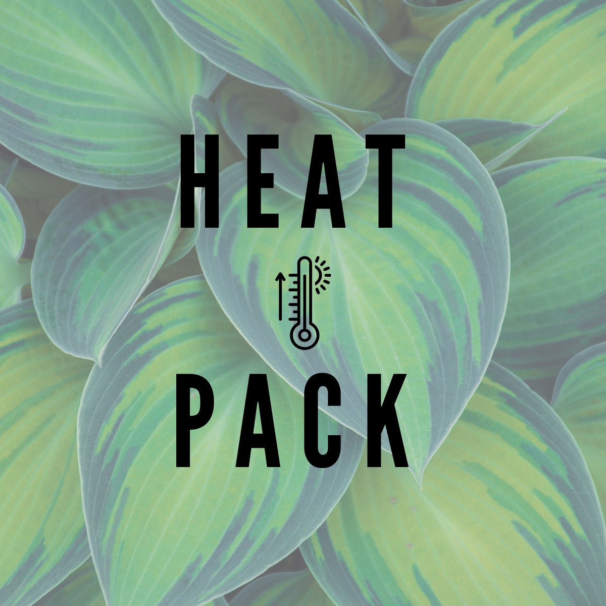 Heat Pack Plant monjungle
