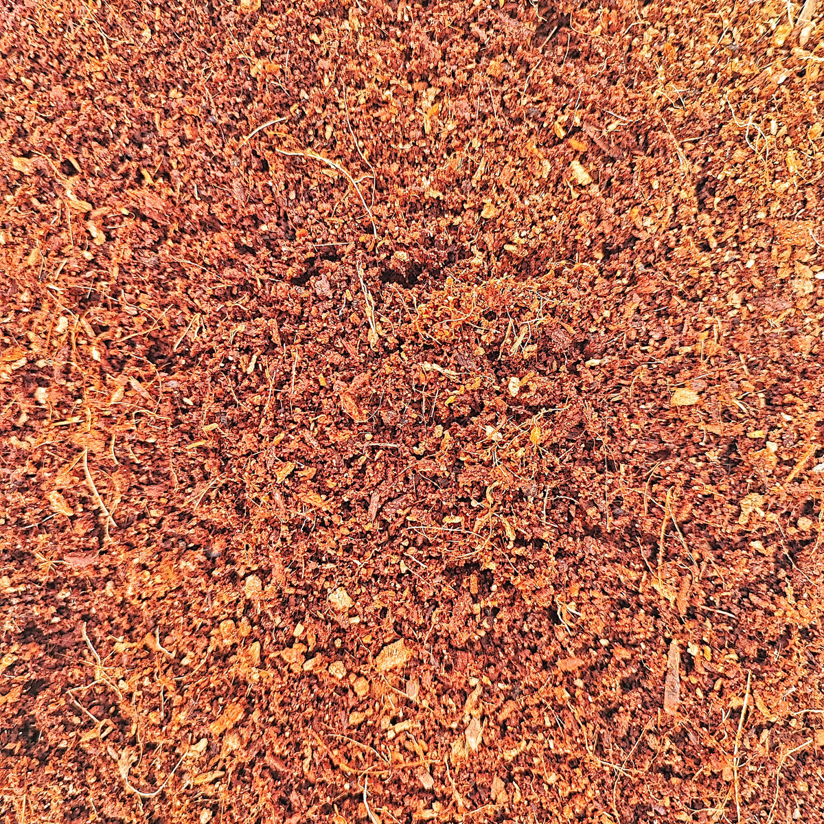 Coco Peat 100% Naturelle monjungle